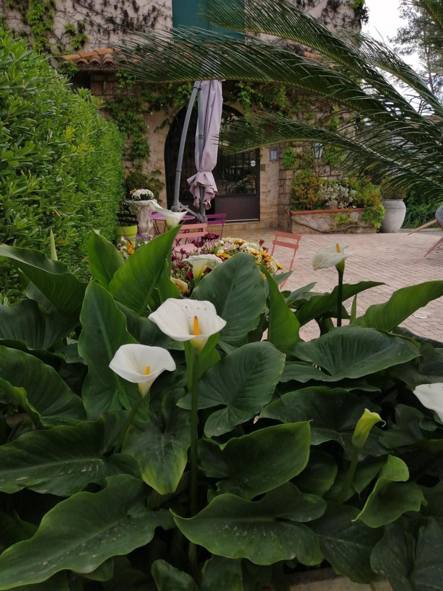 Auberge Les Aromes Грасс Экстерьер фото